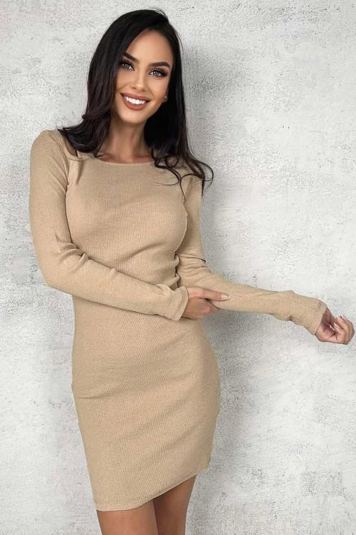 Women's bodycon dress