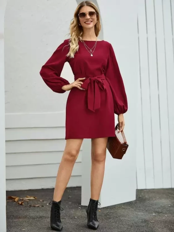 Ladies dress with long sleeves