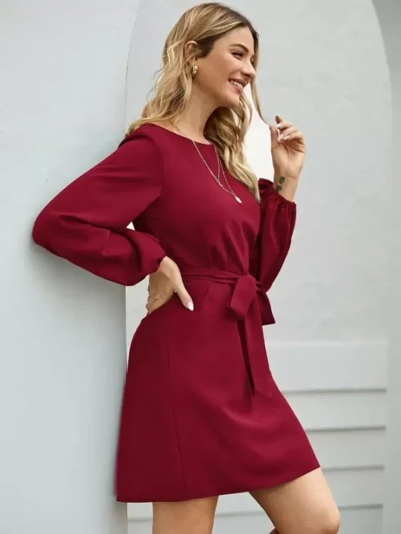 Ladies dress with long sleeves