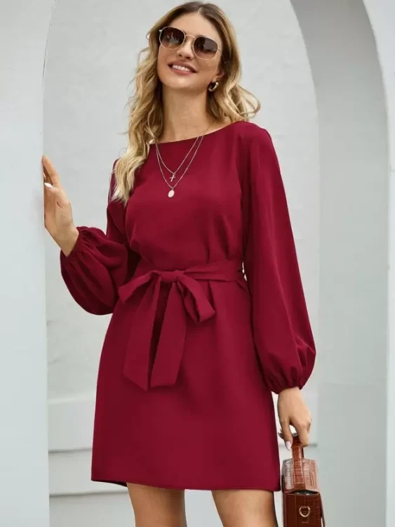 Ladies dress with long sleeves